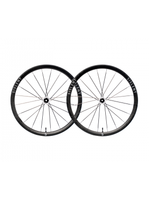 SISLENT WILD 35 LC