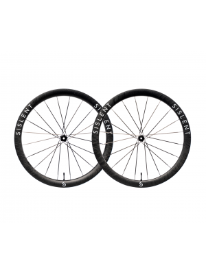 SISLENT WILD 45 LC